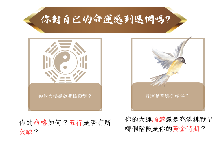 測算後您將知道以下信息